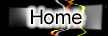 Home - Button.jpg (7963 bytes)